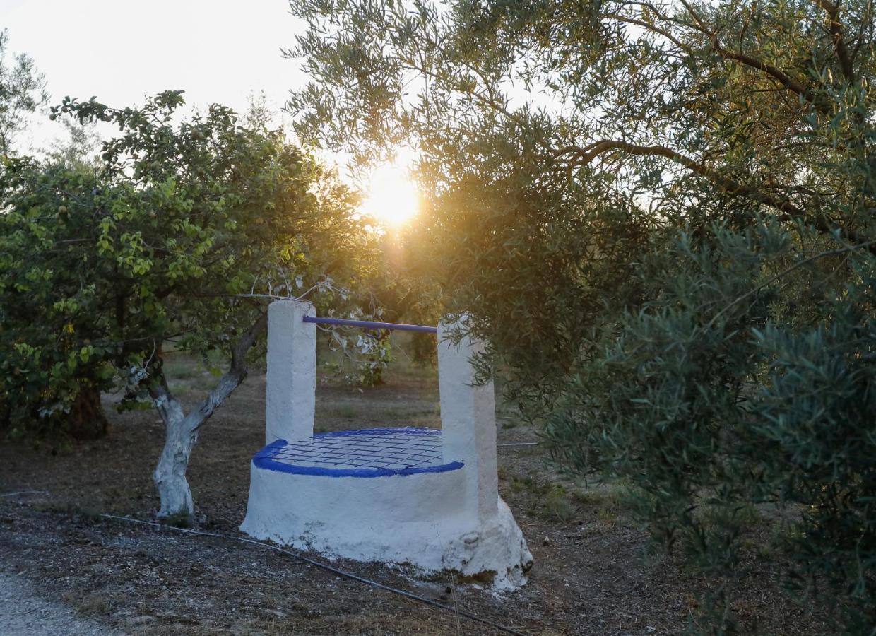 Cortijo Botanico El Cerro Villa Cabra Ngoại thất bức ảnh